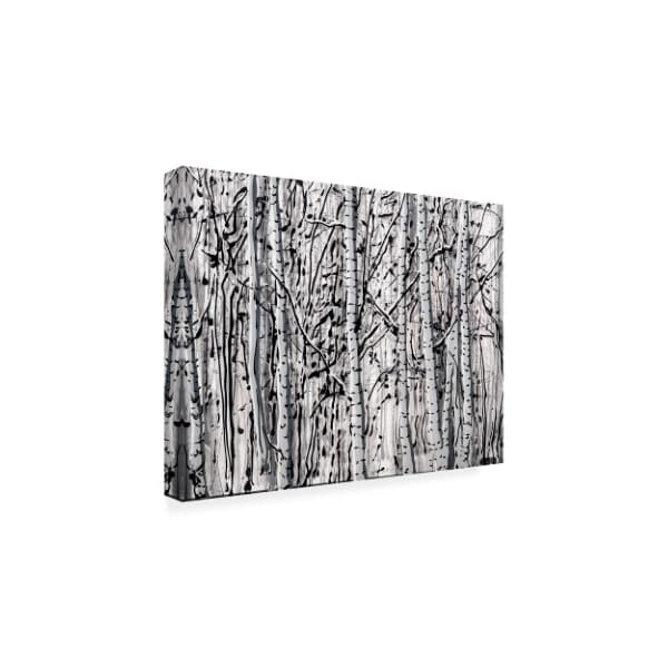 Roderick Stevens 'Winter Aspens Birch' Canvas Art,14x19